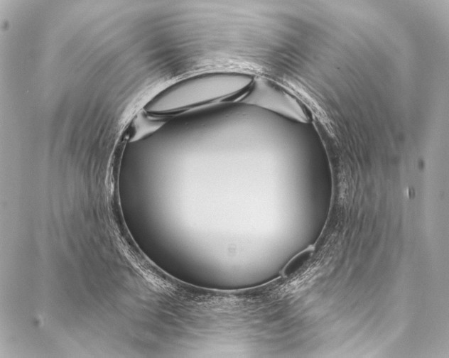 X0000086950885200705071440