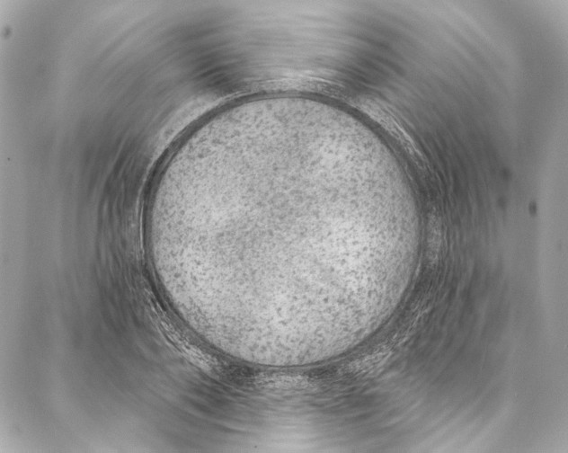 X0000086950886200705071440