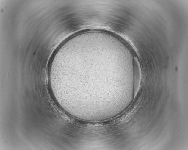 X0000086950887200705071440