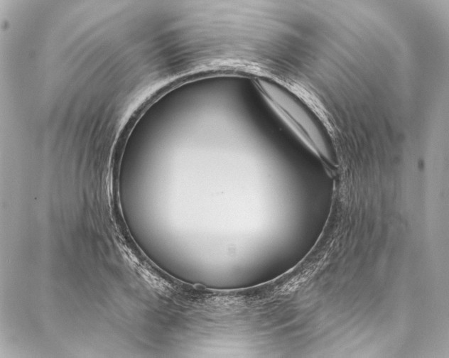 X0000086950888200705071440