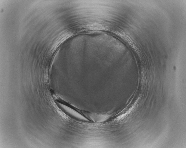 X0000086950889200705071440