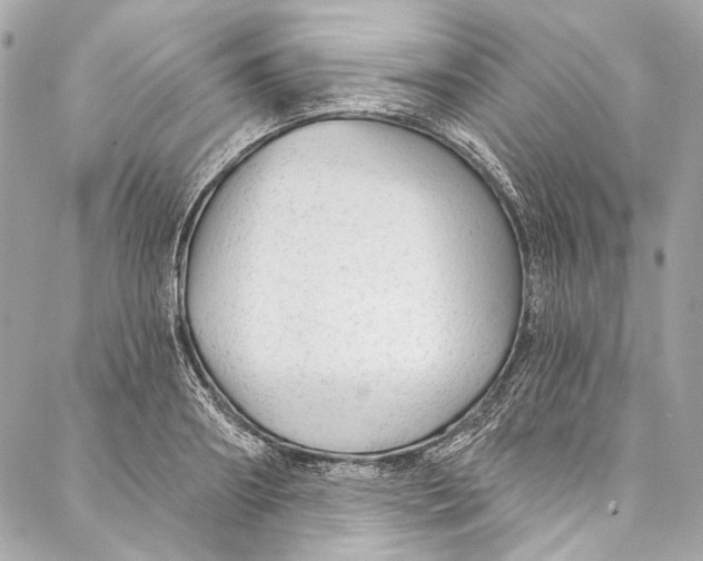 X0000086950890200705071440