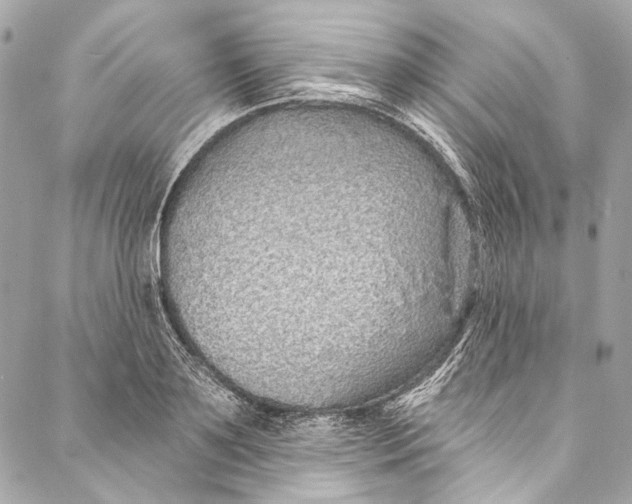 X0000086950891200705071440