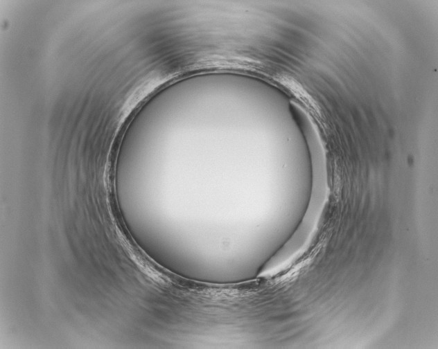 X0000086950893200705071440