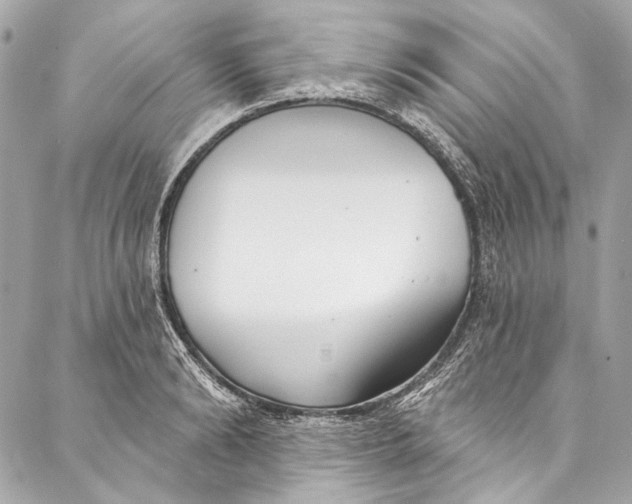 X0000086950894200705071440