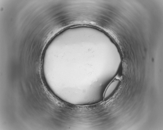 X0000086950895200705071440