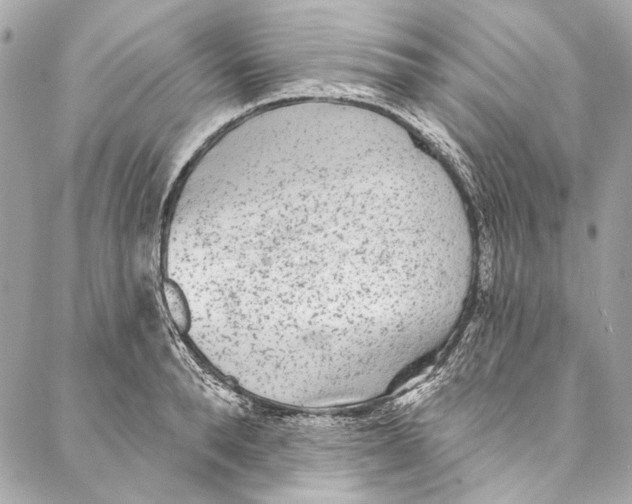 X0000086950896200705071440