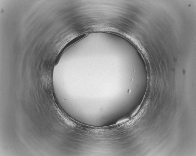 X0000086950897200705071440