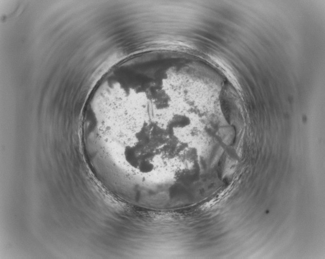 X0000086950899200705071440