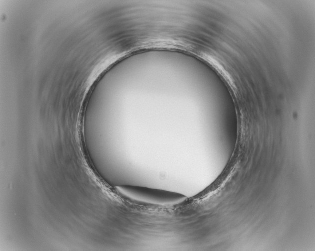 X0000086950901200705071440