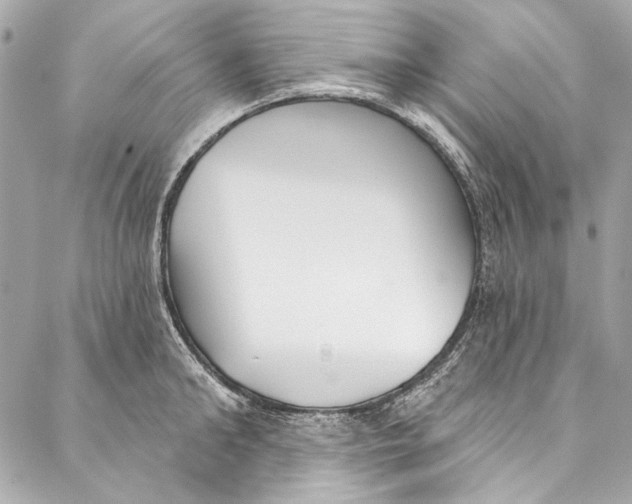 X0000086950902200705071440