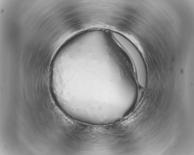 X0000086950903200705071440