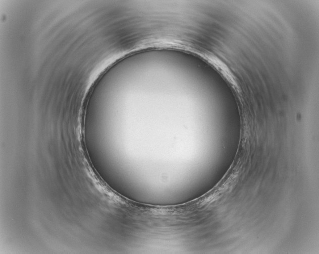 X0000086950904200705071440