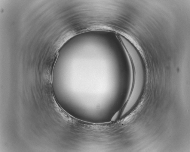 X0000086950905200705071440