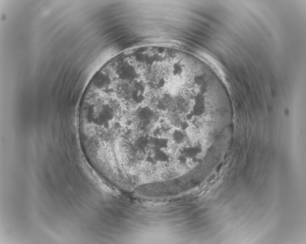 X0000086950907200705071440