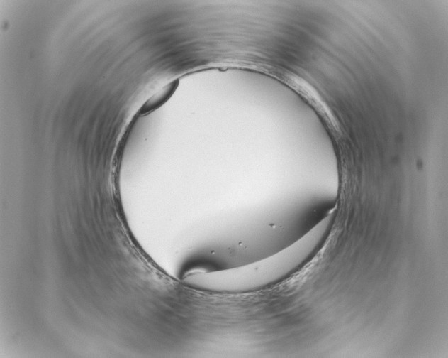 X0000086950908200705071440