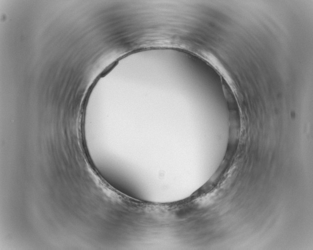 X0000086950909200705071440