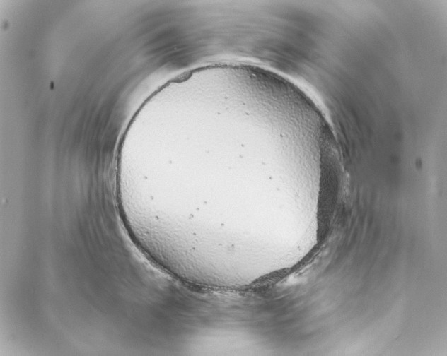 X0000086950911200705071440