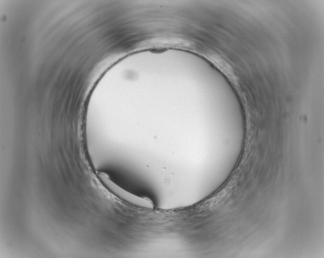 X0000086950912200705071440