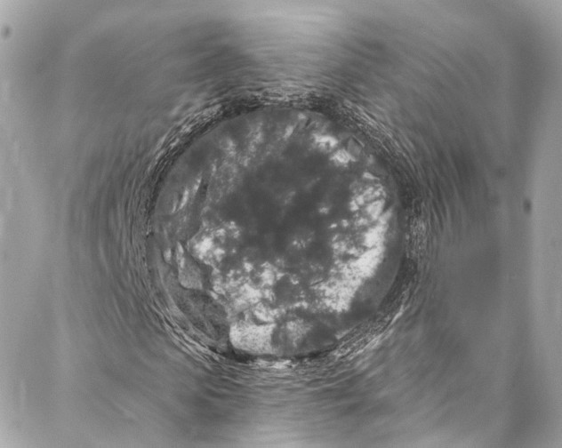 X0000086950913200705071439