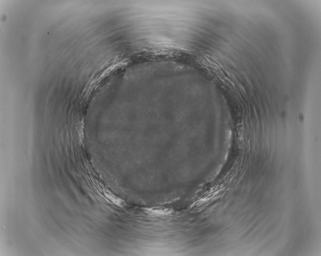 X0000086950916200705071439