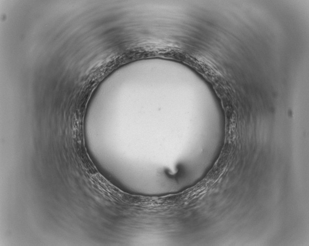 X0000086950917200705071439