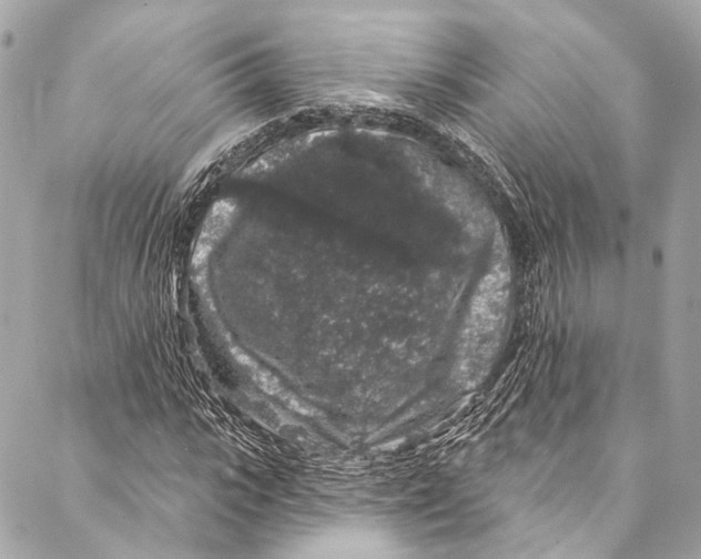 X0000086950919200705071439