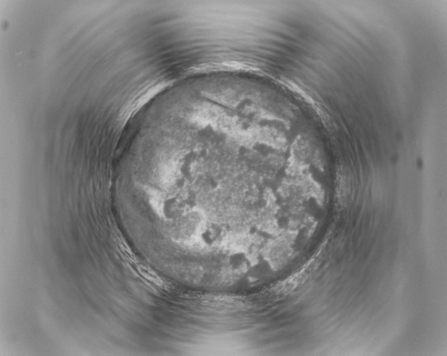 X0000086950921200705071439