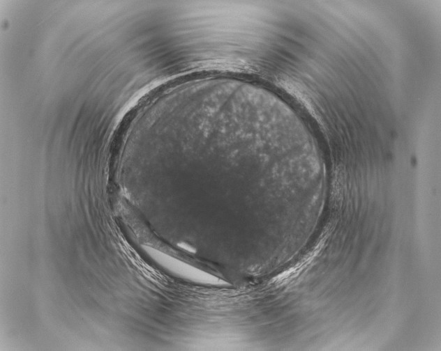 X0000086950923200705071439