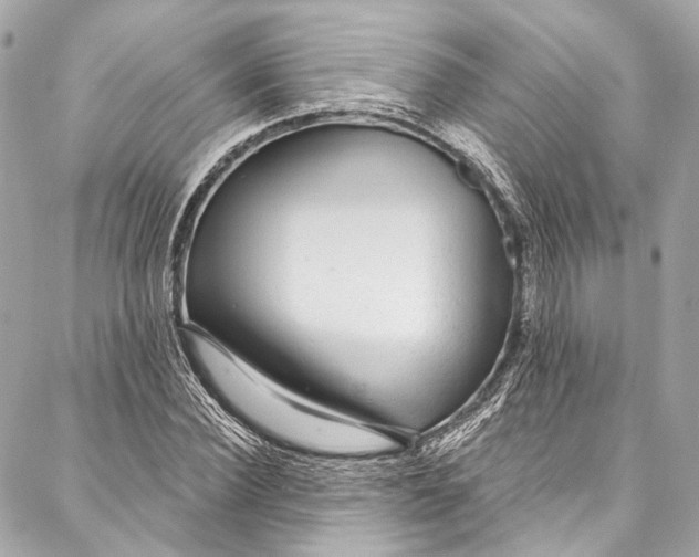 X0000086950924200705071439