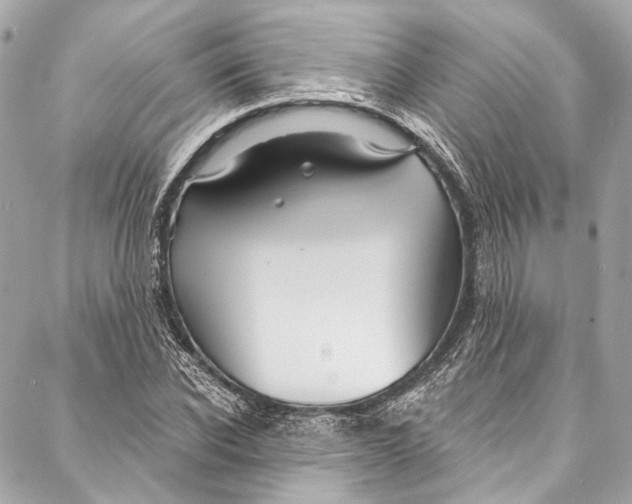 X0000086950926200705071439