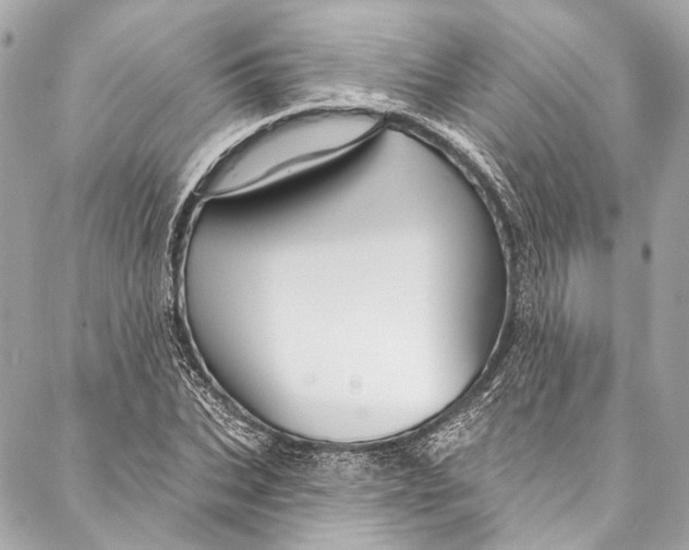 X0000086950927200705071439