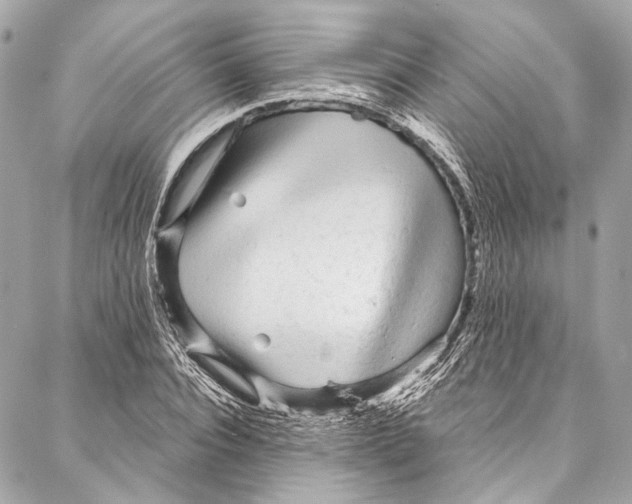 X0000086950928200705071439