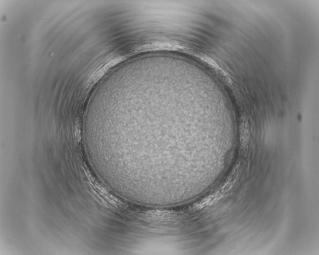 X0000086950929200705071439