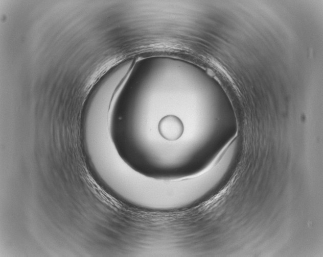 X0000086950930200705071439