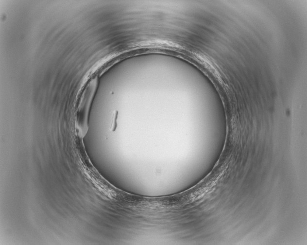 X0000086950931200705071439