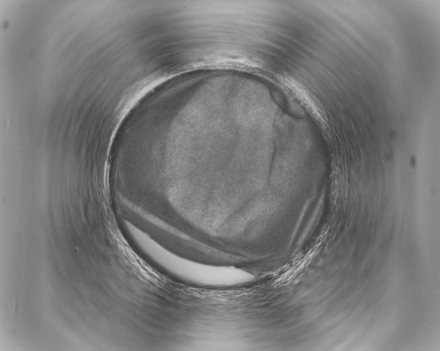 X0000086950932200705071439