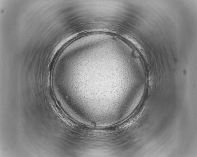 X0000086950933200705071439