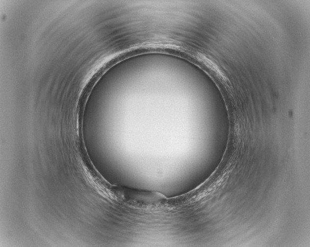 X0000086950934200705071439