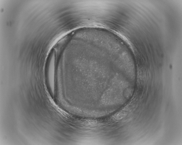 X0000086950935200705071439