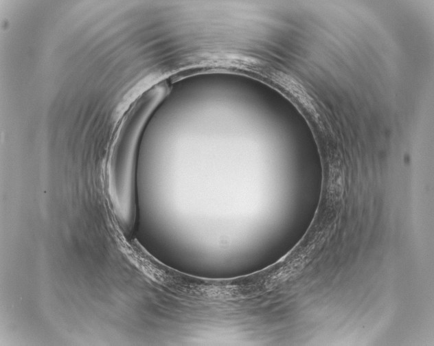 X0000086950936200705071439