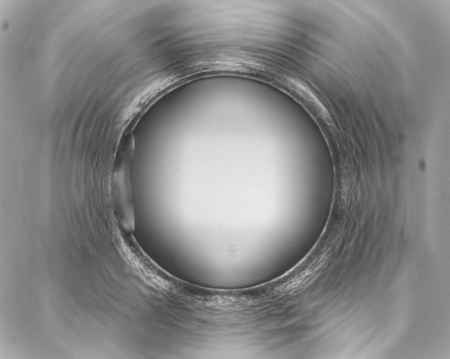 X0000086950938200705071439