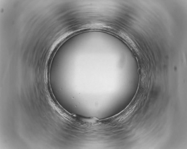 X0000086950939200705071439