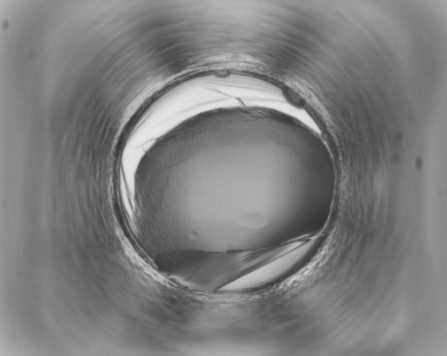 X0000086950941200705071439