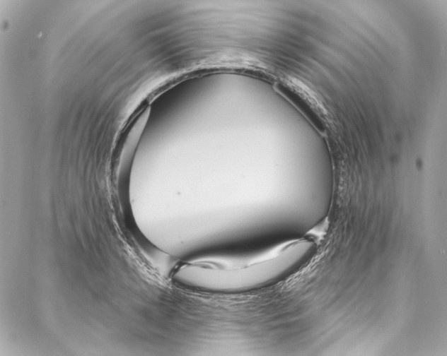 X0000086950942200705071439