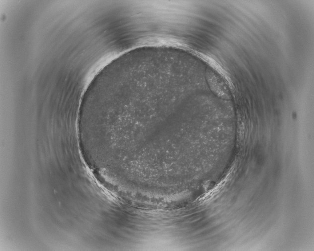 X0000086950943200705071439