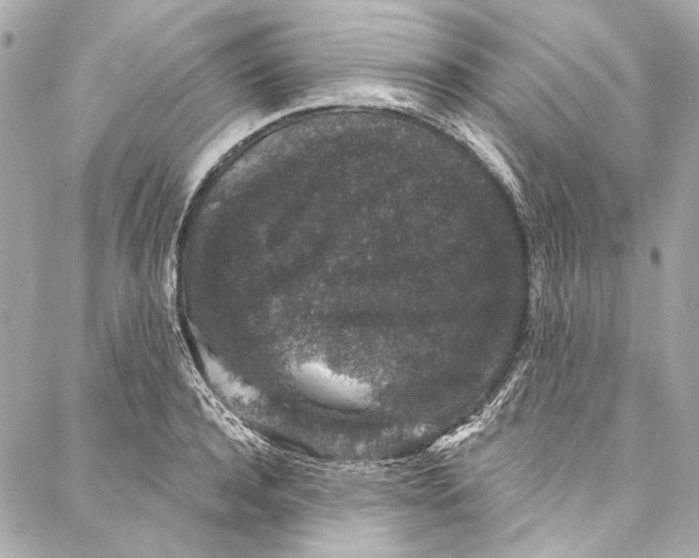 X0000086950944200705071439