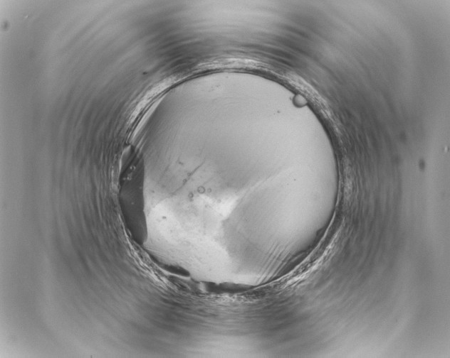 X0000086950945200705071440