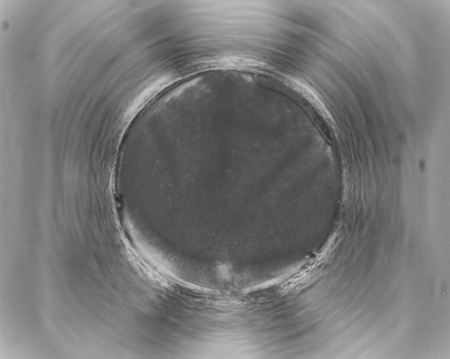 X0000086950946200705071440