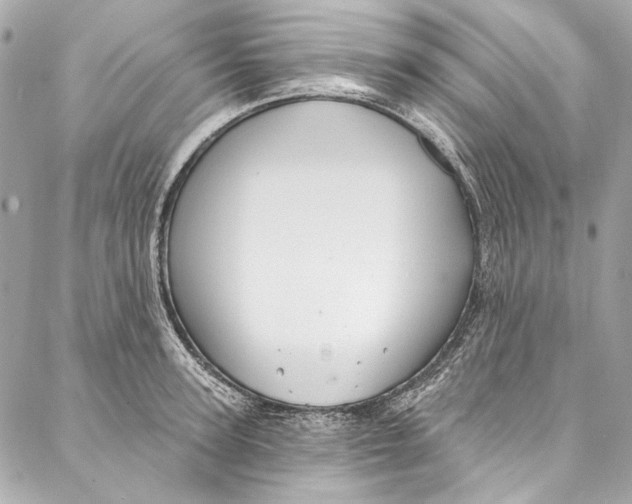 X0000086950947200705071440